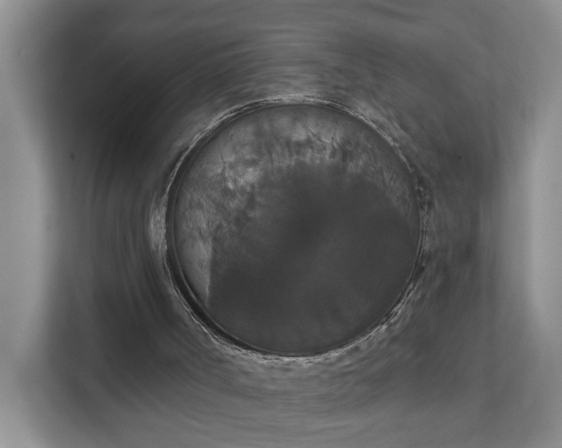 X0000111520002200907211233