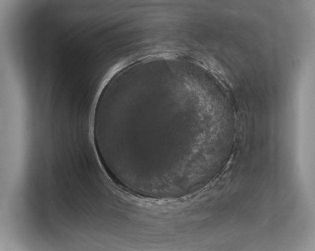 X0000111520003200907211233
