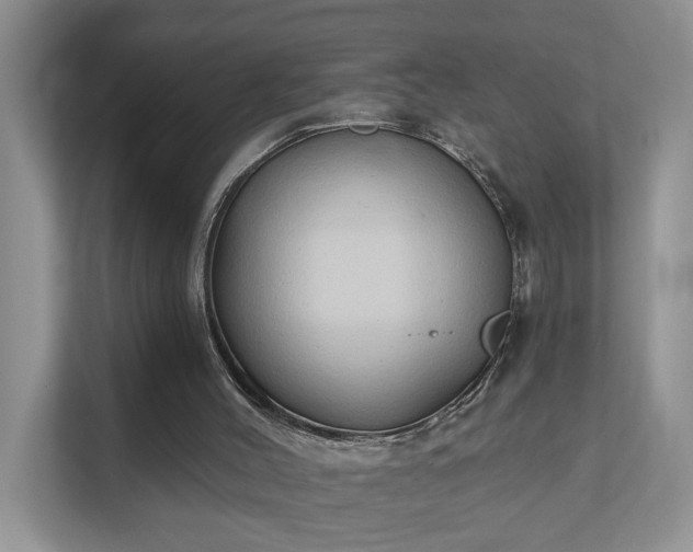 X0000111520004200907211233