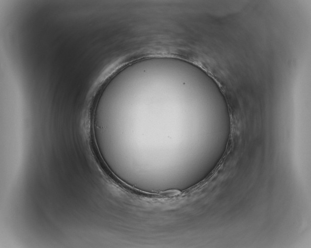 X0000111520005200907211233