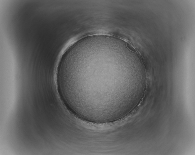 X0000111520006200907211233