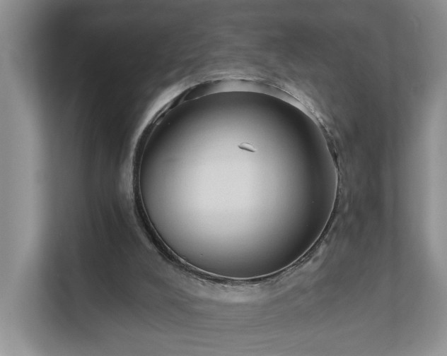 X0000111520008200907211233