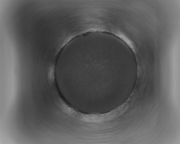 X0000111520009200907211233