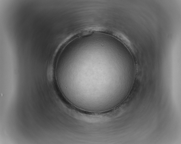 X0000111520012200907211233