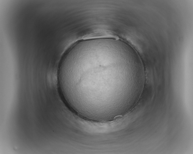 X0000111520015200907211233