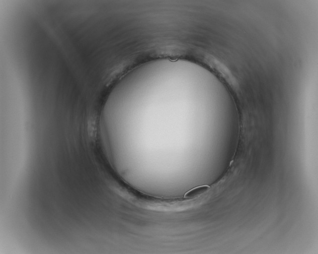 X0000111520017200907211233