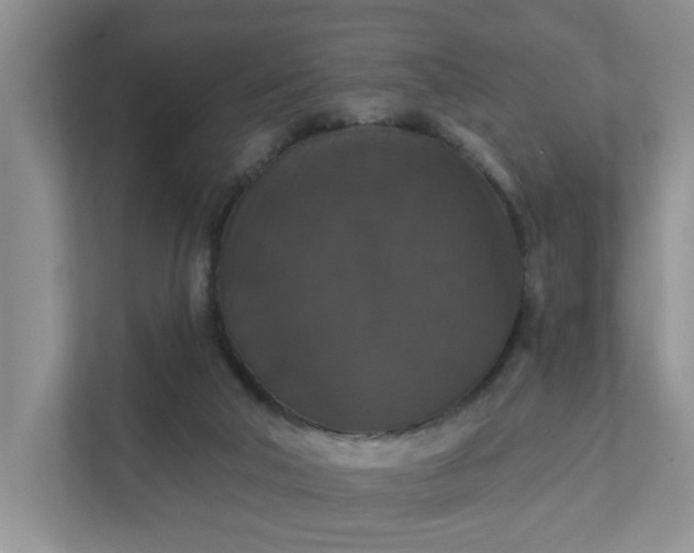 X0000111520018200907211233