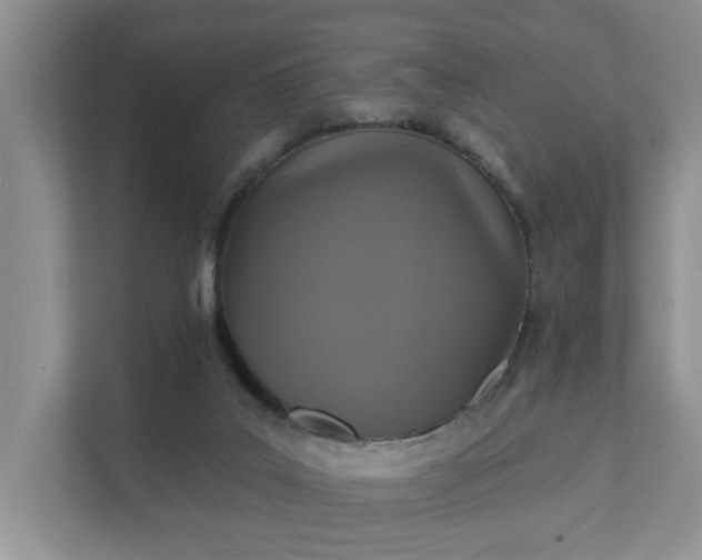 X0000111520019200907211233