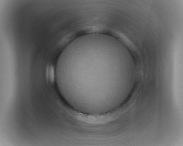 X0000111520022200907211233