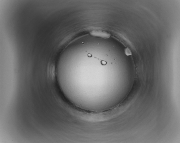 X0000111520024200907211233