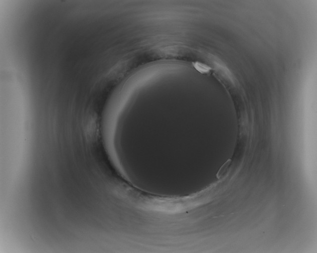 X0000111520029200907211233