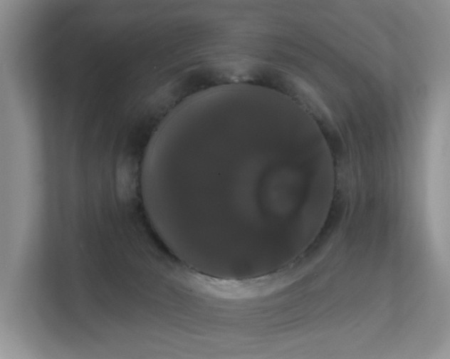 X0000111520030200907211233