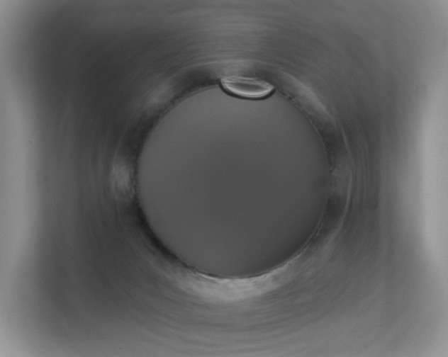 X0000111520031200907211233