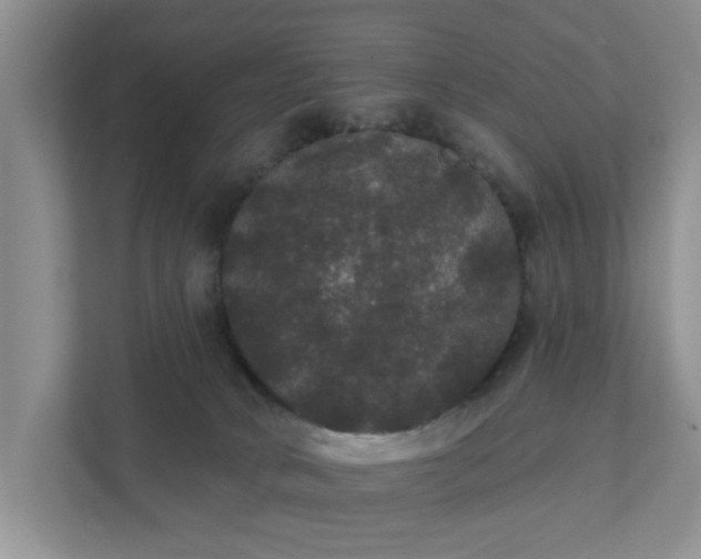 X0000111520034200907211233