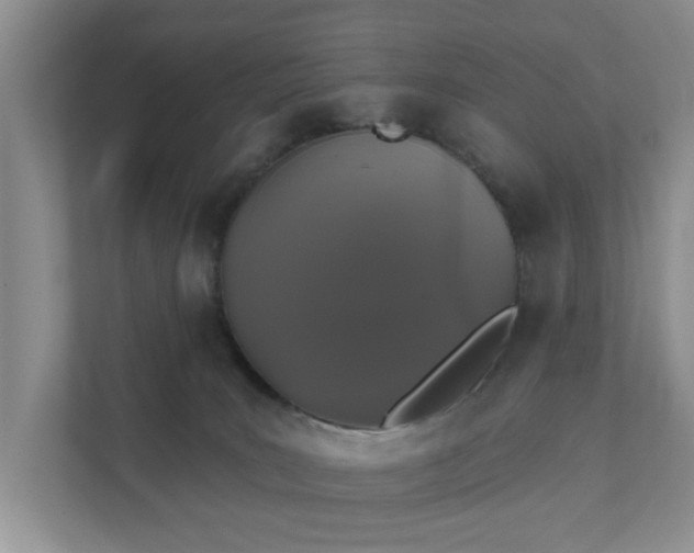 X0000111520035200907211233