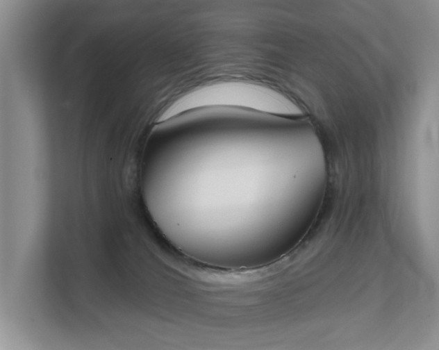 X0000111520036200907211233