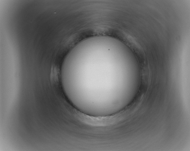 X0000111520038200907211233