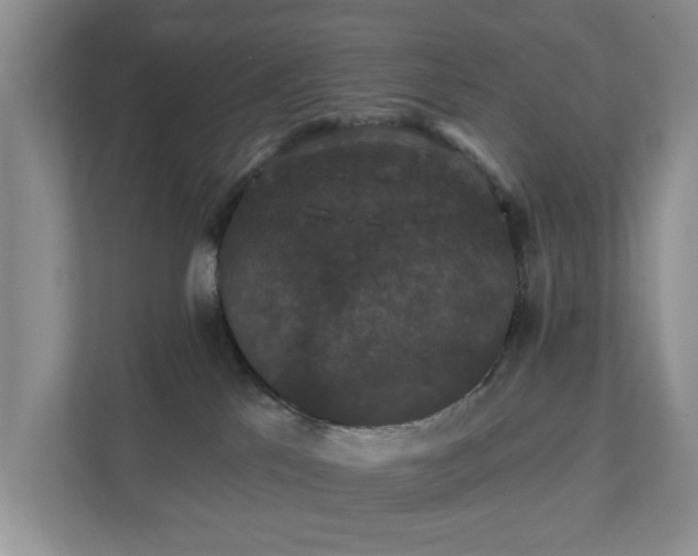 X0000111520041200907211233