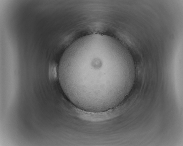 X0000111520042200907211233