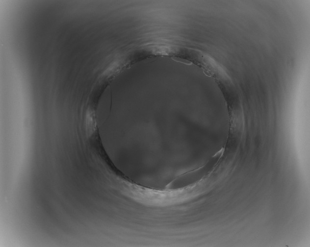 X0000111520043200907211233