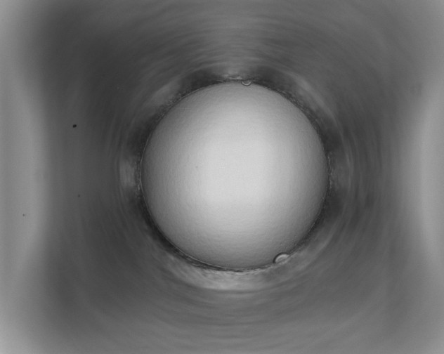 X0000111520044200907211233