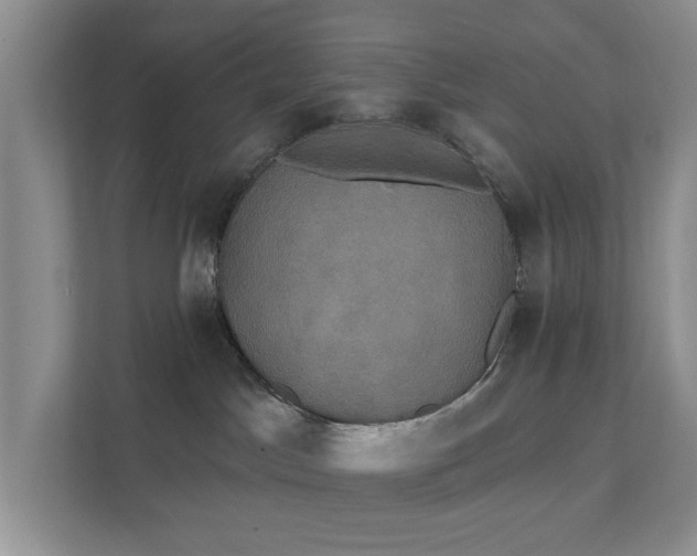 X0000111520045200907211233