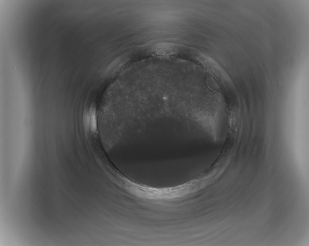 X0000111520046200907211233