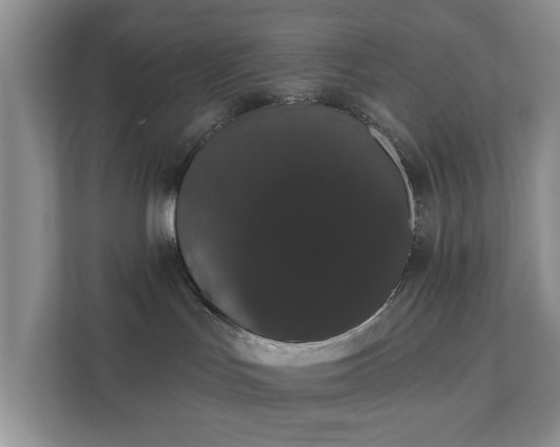 X0000111520047200907211233