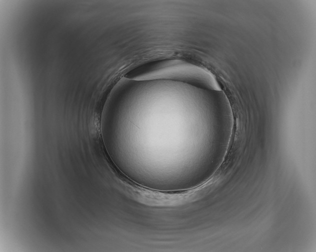 X0000111520048200907211233