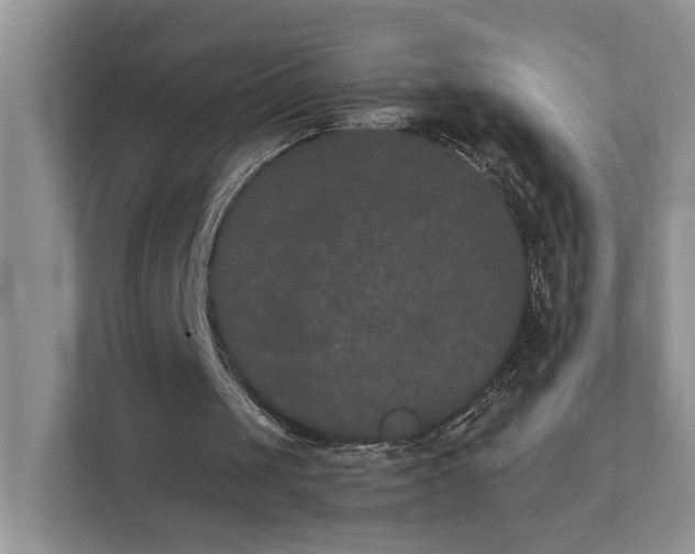 X0000111520049200907211232