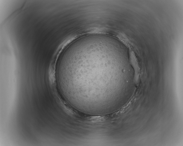 X0000111520050200907211232