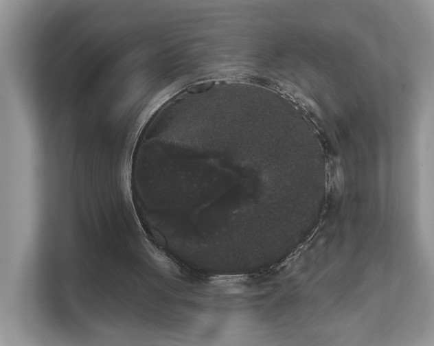 X0000111520051200907211232
