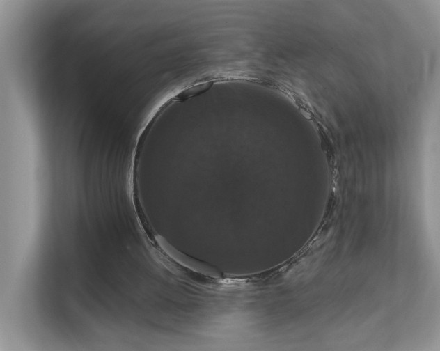X0000111520052200907211232