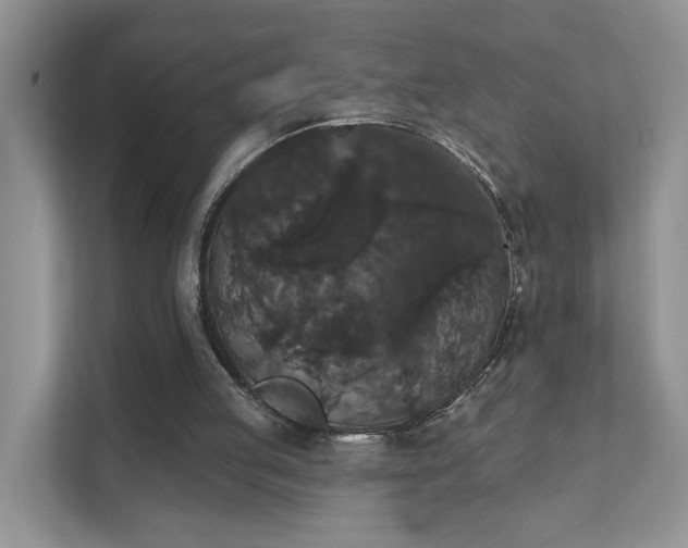 X0000111520053200907211232