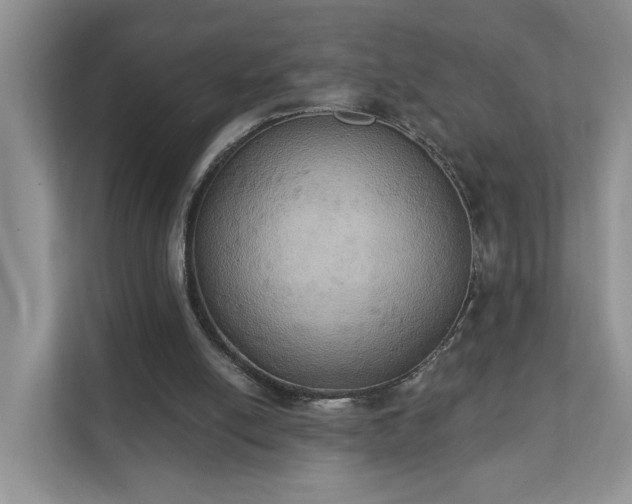X0000111520054200907211232