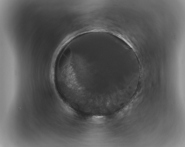 X0000111520055200907211232