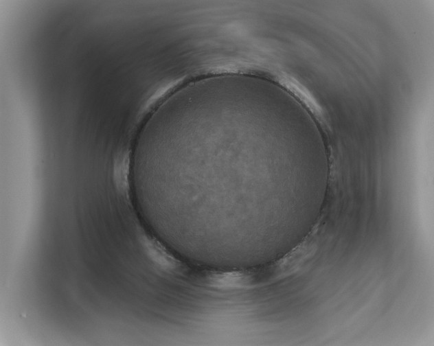 X0000111520058200907211232