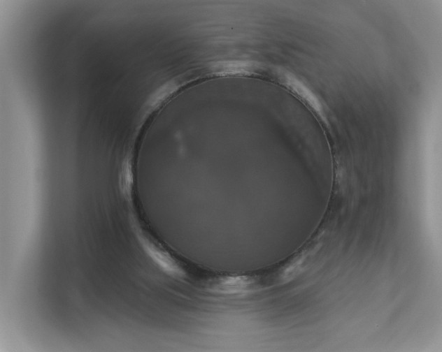 X0000111520059200907211232