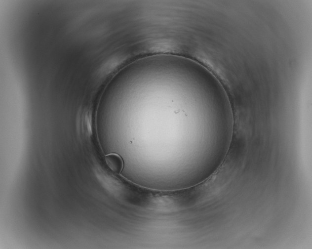 X0000111520062200907211232