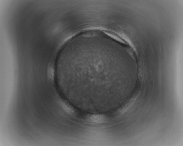 X0000111520063200907211232