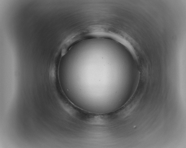 X0000111520064200907211232