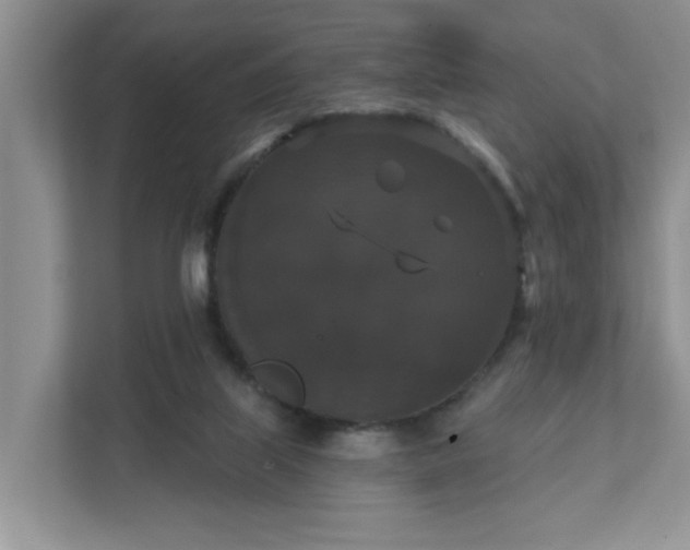 X0000111520067200907211232