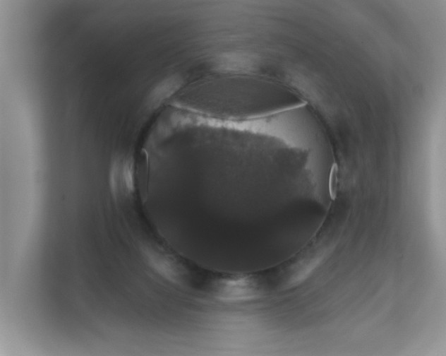 X0000111520068200907211232