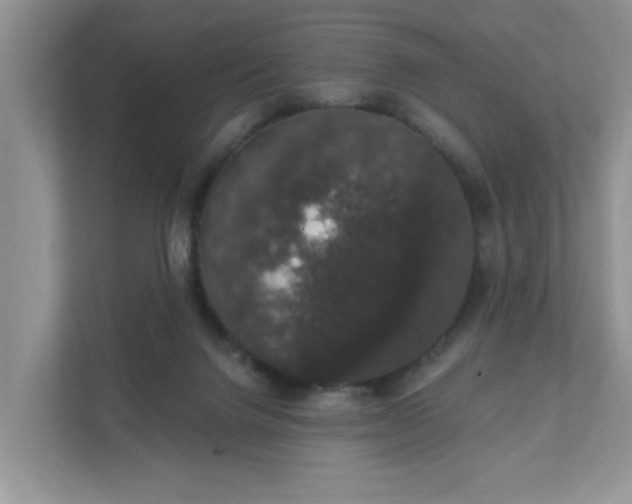 X0000111520072200907211232