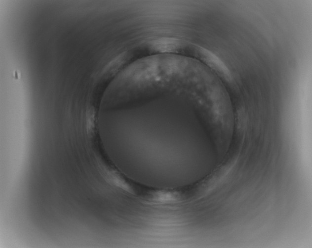 X0000111520073200907211232