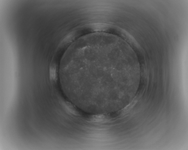 X0000111520074200907211232