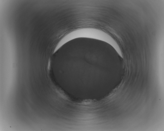 X0000111520076200907211232