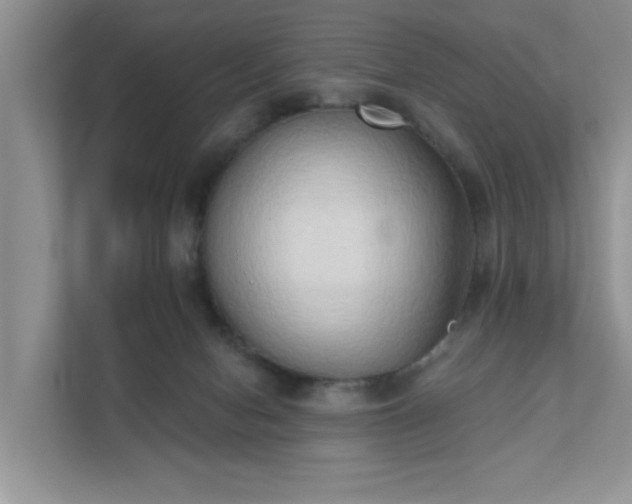 X0000111520078200907211232