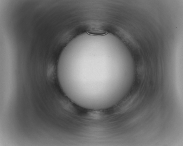 X0000111520079200907211232