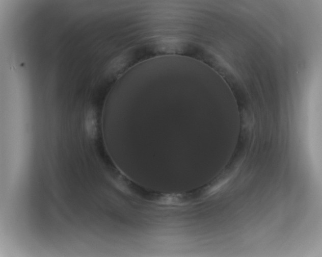 X0000111520080200907211232